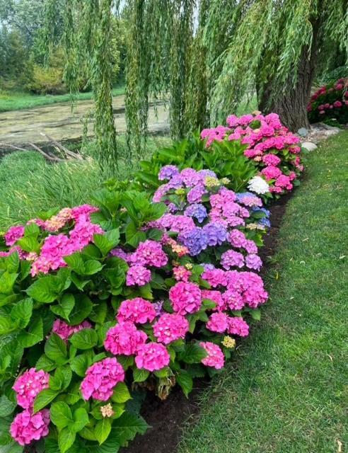 The Hazelhouse Bed & Breakfast Chilliwack Eksteriør bilde